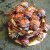 Chocolate pretzel basket with chocolate dipped strawberries
